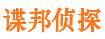 西峡侦探公司